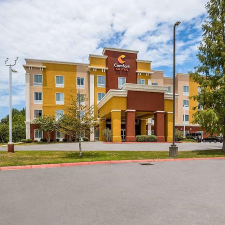 Comfort Suites Denham Springs Eksteriør billede